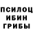 Галлюциногенные грибы мухоморы Tyjamin Roark