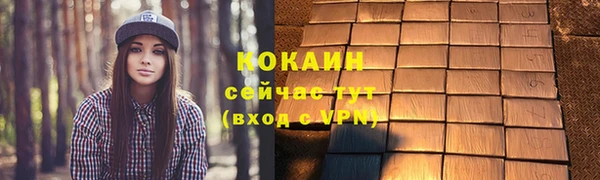дживик Алзамай